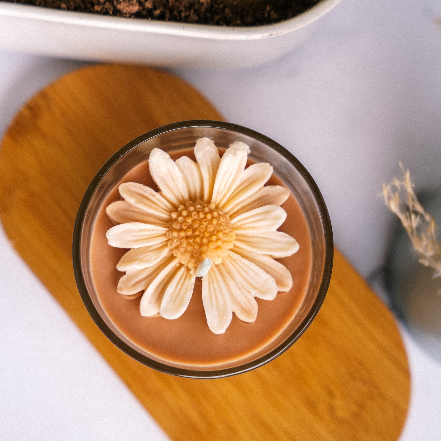 Dreamy Daisy Murphy Glass Jar Candle