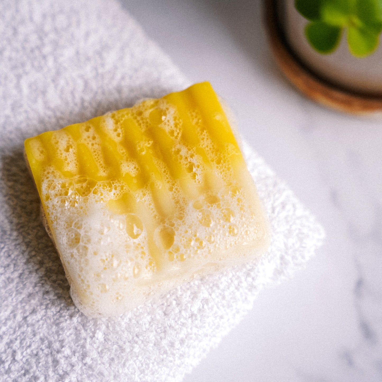Handmade Artisanal Bar Soap (Pack of 3)