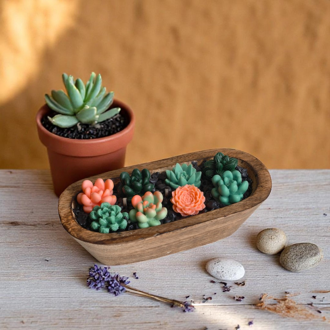 Succulent Dreams Scented Candle (Pine Forest Scent)