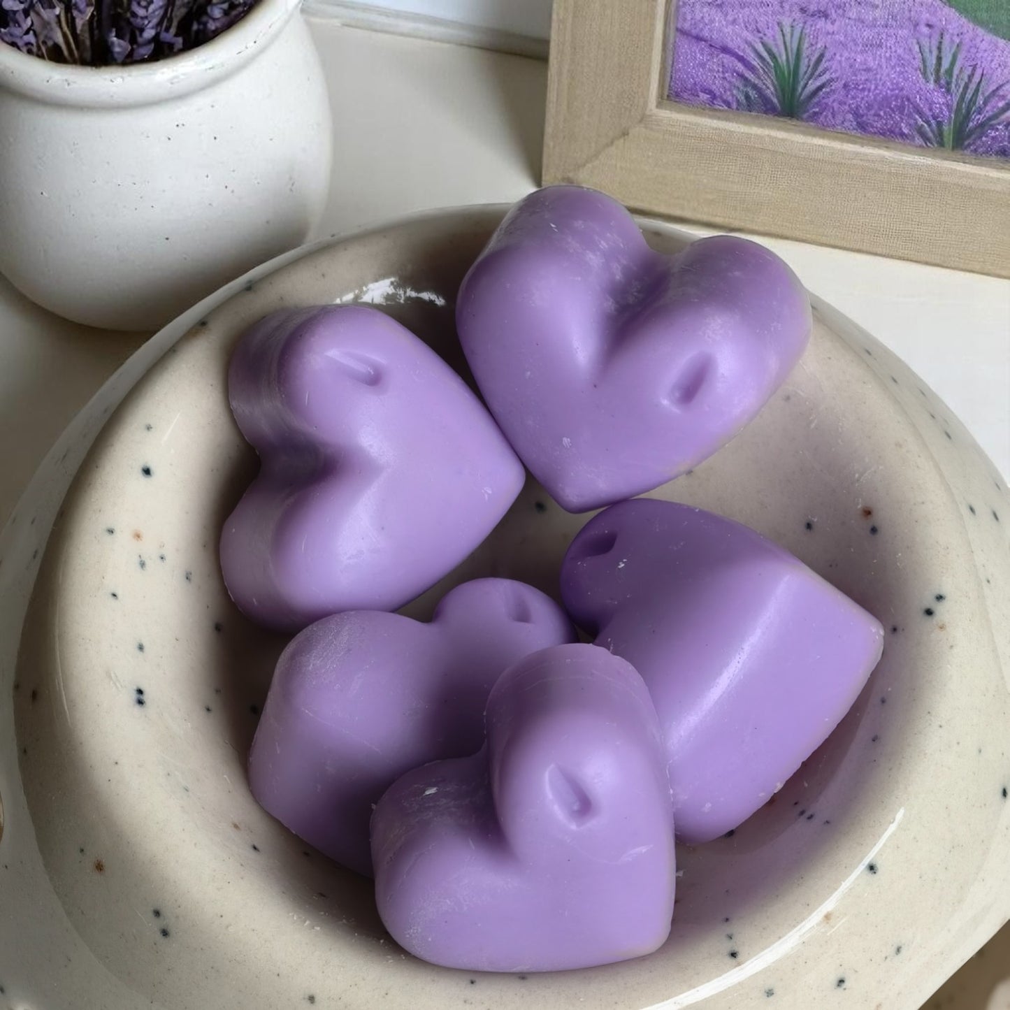 Soy Wax Melt 100 GM Pack