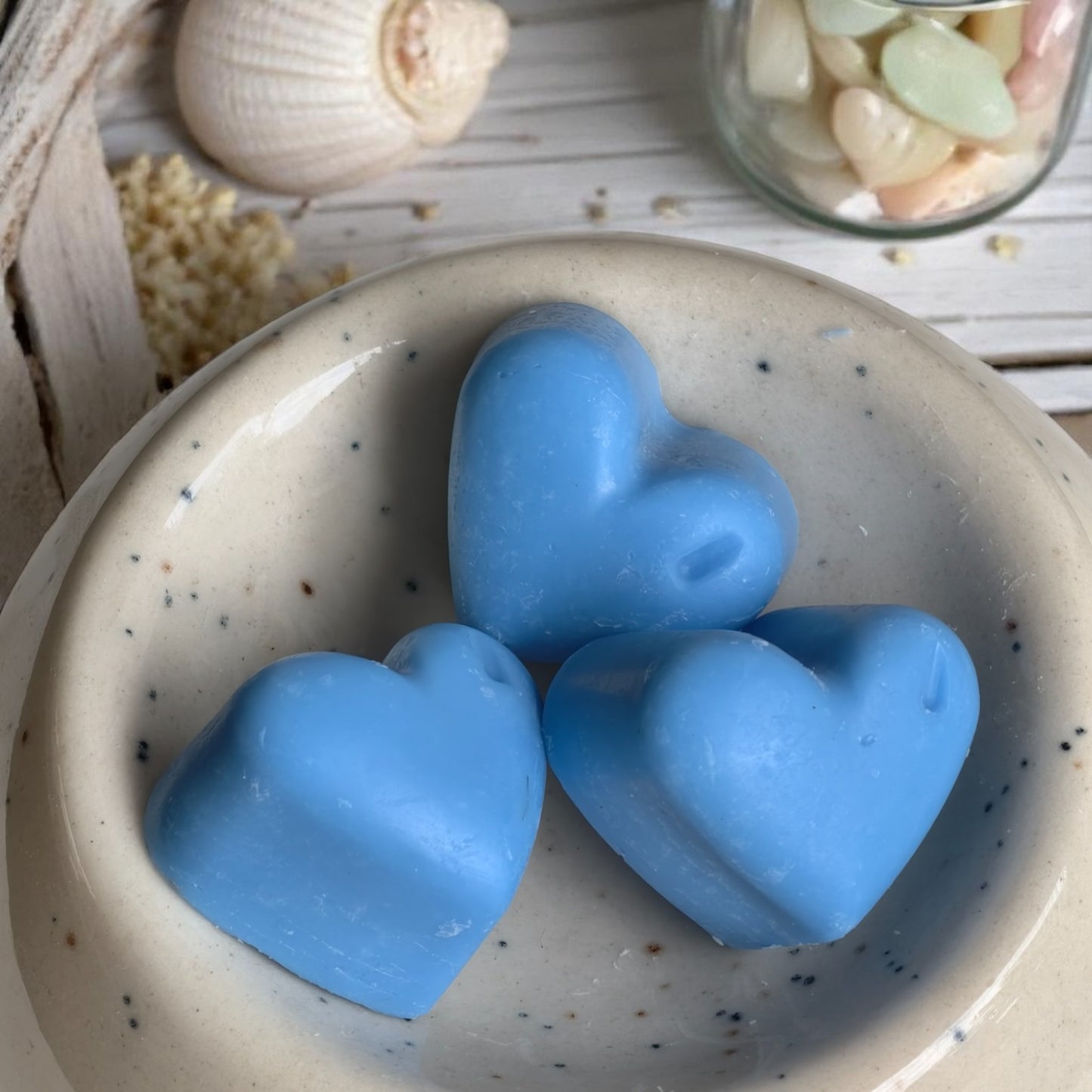 Soy Wax Melt 100 GM Pack