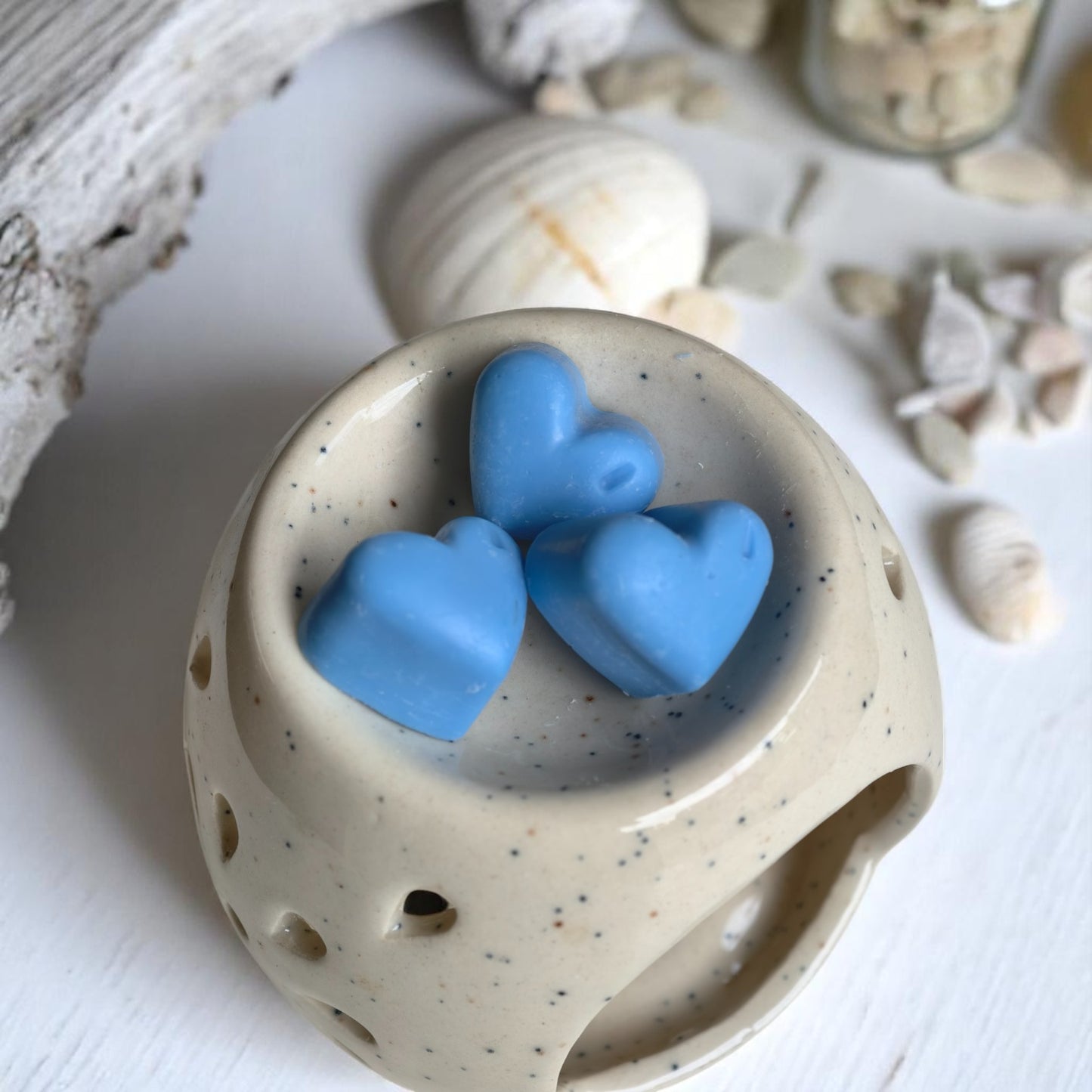 Soy Wax Melt 100 GM Pack