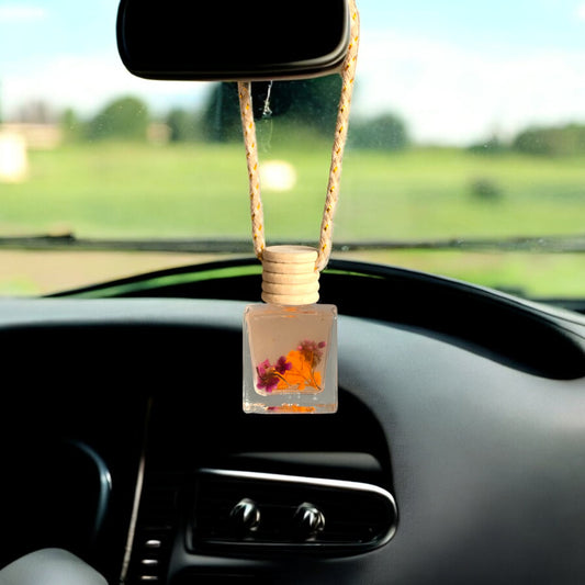 Hanging Car Diffuser