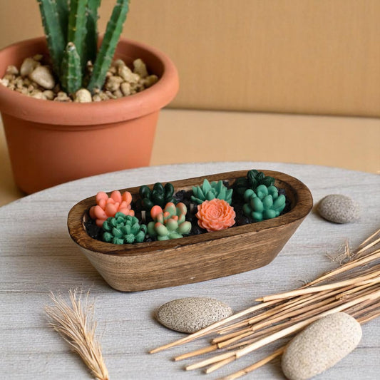 Succulent Dreams Scented Candle (Pine Forest Scent)