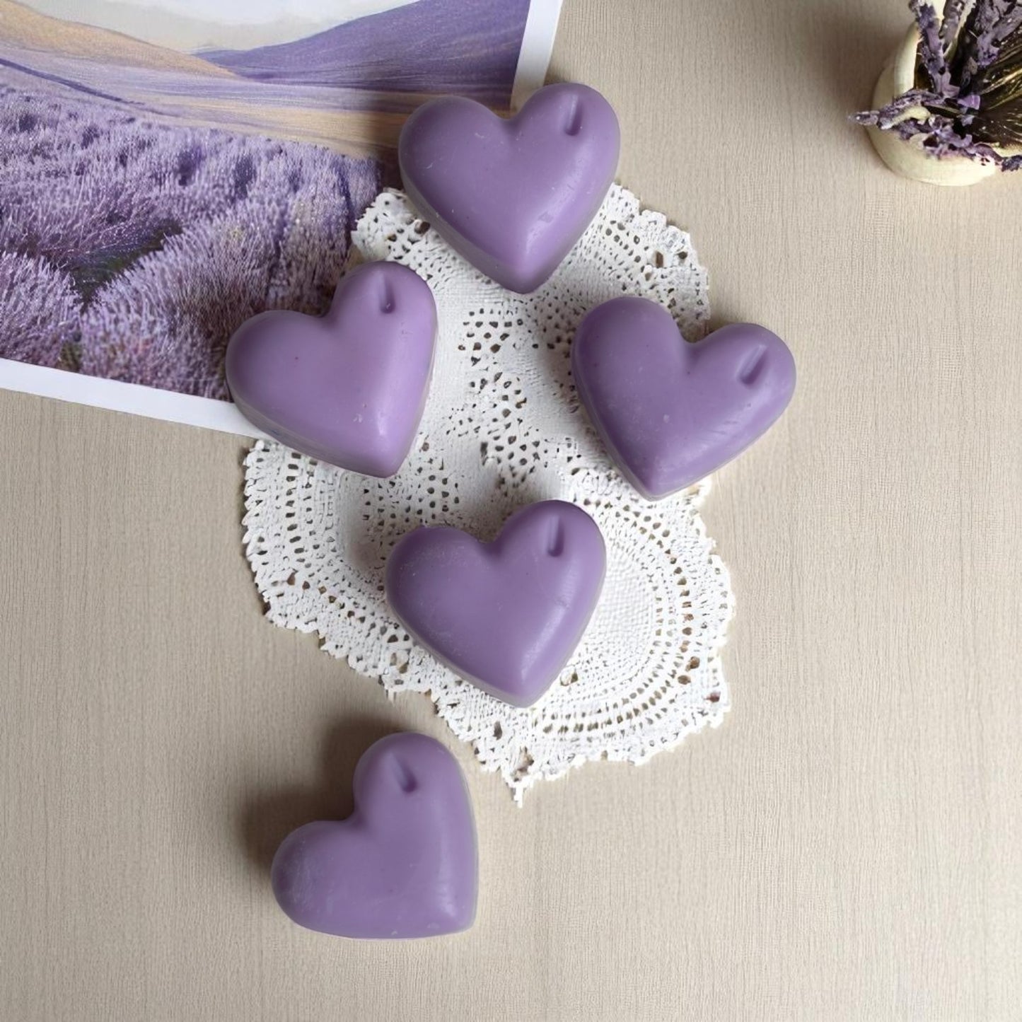 Soy Wax Melt 100 GM Pack